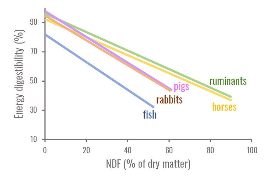 Comparison of the influence of cell wall content on energy digestibility for several species