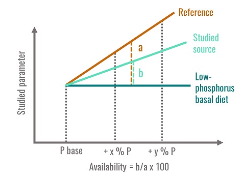 Method used to calculate phosphorus availability