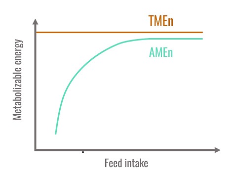 Relationship between AMEn, TMEn and feed intake